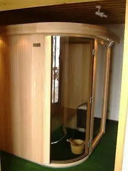 酒店 山酒店 莱德萨阿尔卑斯